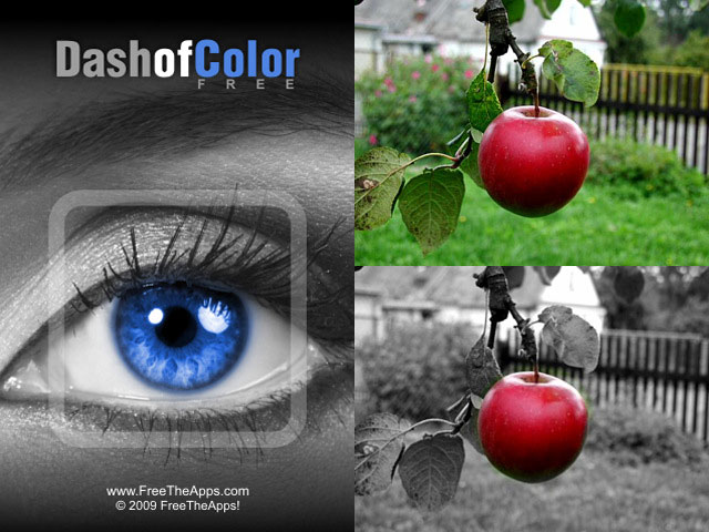 Dash of Color
