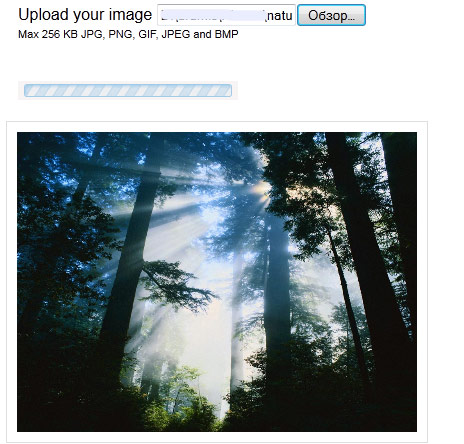Ajax Image Upload