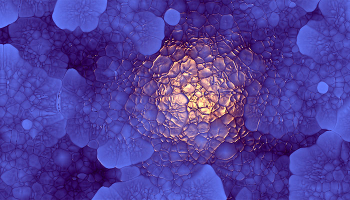Traveling Wavefronts