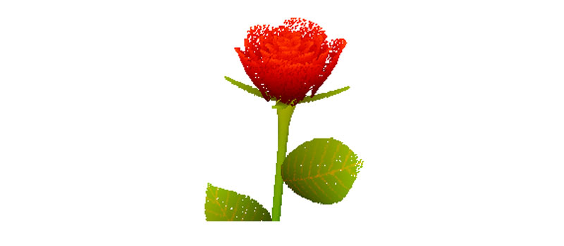 A Rose is a Rose