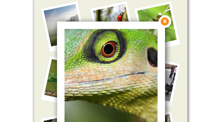 A CSS3 Enhanced Photo Gallery