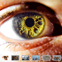 Photo Gallery with AngularJS and CSS3 Photo Gallery with AngularJS and CSS3