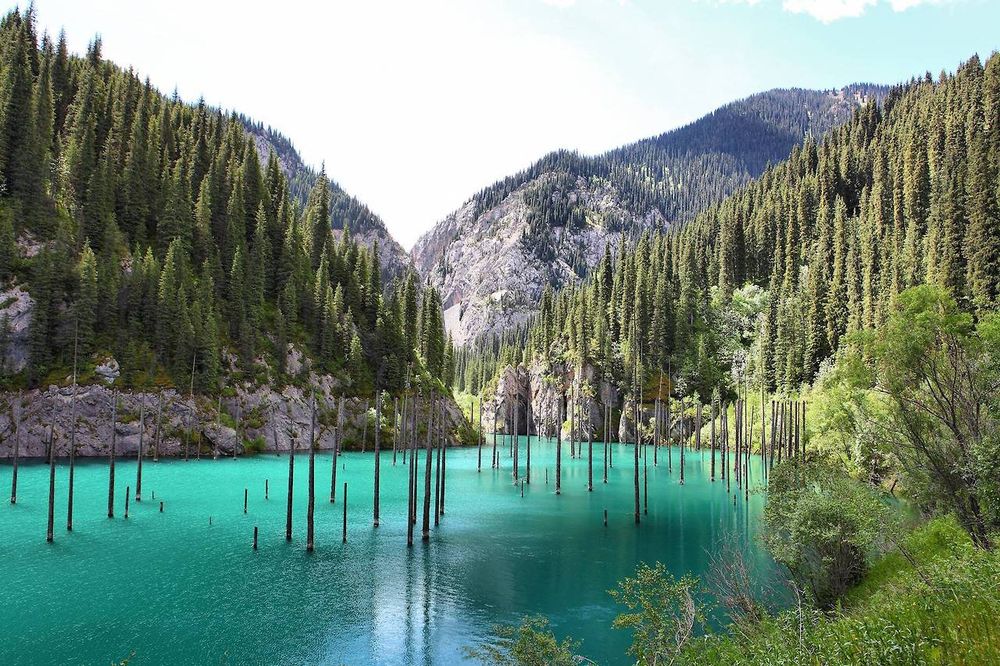 The underwater forest of Lake Kaindy 1 The underwater forest of Lake Kaindy 1