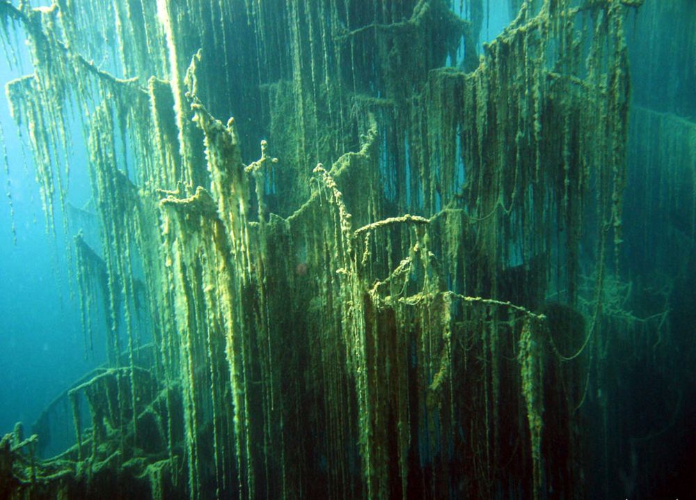 The underwater forest of Lake Kaindy 2 The underwater forest of Lake Kaindy 2