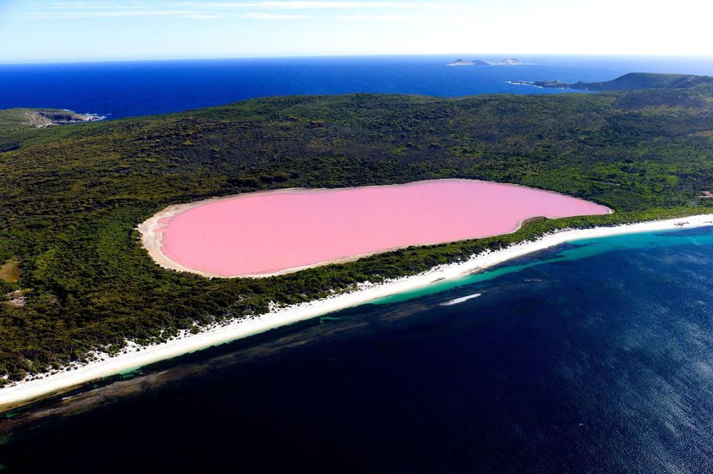 Pink Lake Hillier, Australia Pink Lake Hillier, Australia