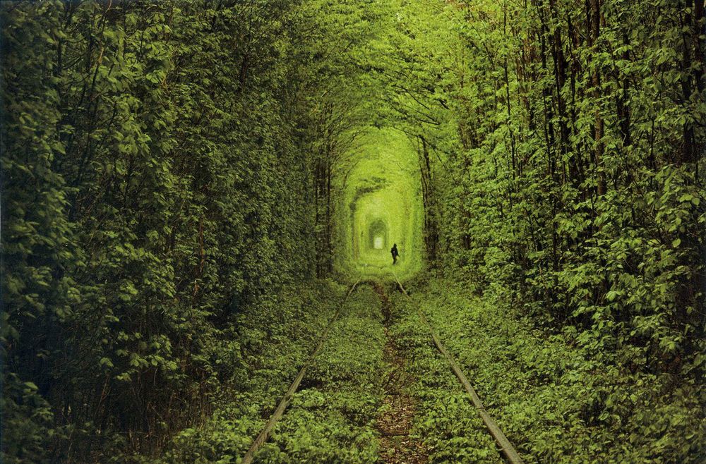 Tunnel of Love, Ukraine Tunnel of Love, Ukraine