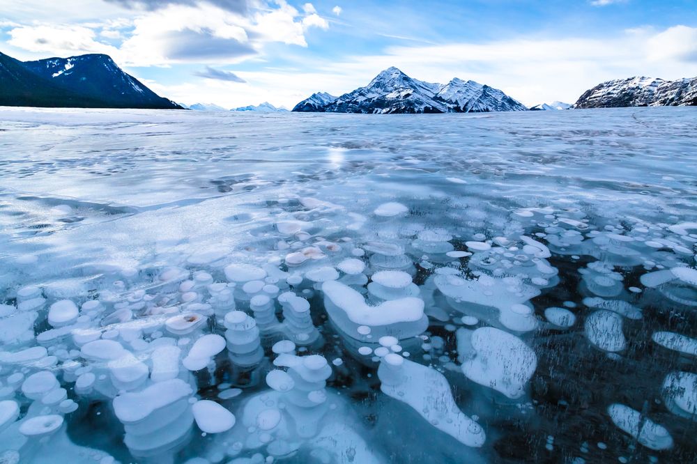 Frozen air bubbles in Abraham Lake Frozen air bubbles in Abraham Lake