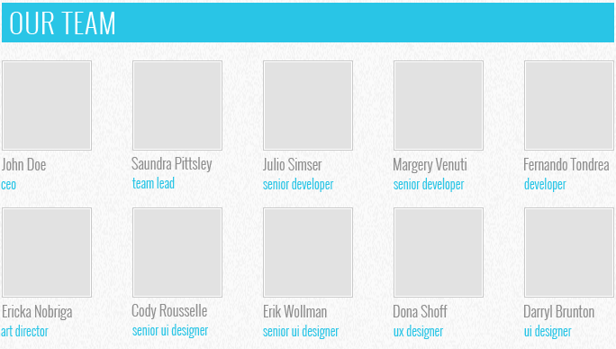 our team