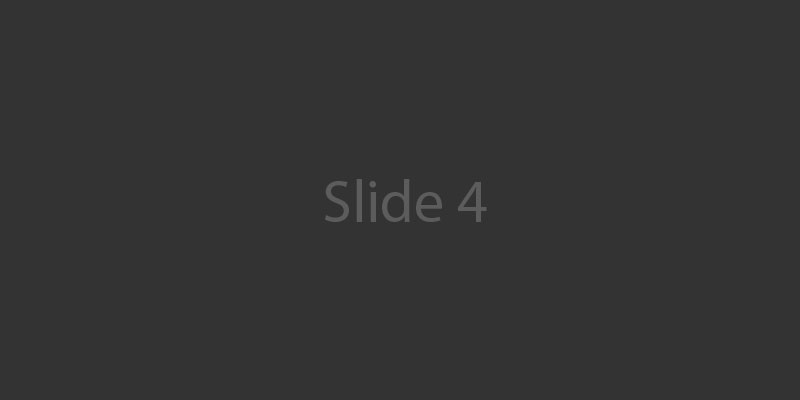 Slide 4