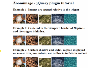 Read more about the article Jquery CSS Tutorial on Zooming Image